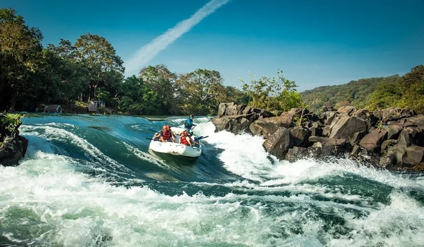 activitiesdandeli 1